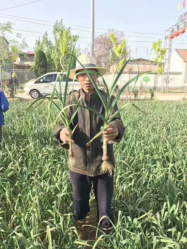 案例展示