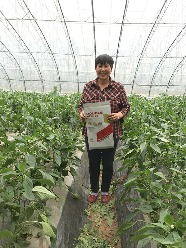 案例展示